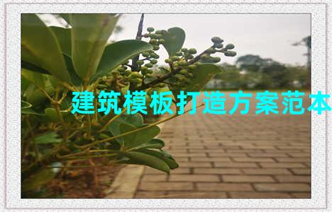 建筑模板打造方案范本