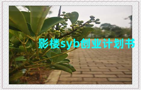 影楼syb创业计划书