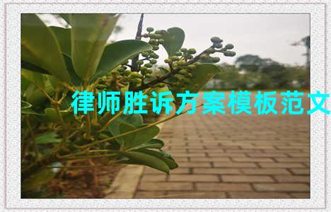 律师胜诉方案模板范文