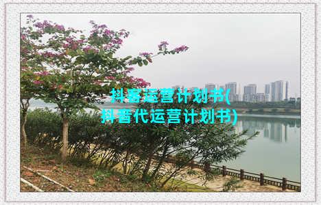 抖客运营计划书(抖音代运营计划书)