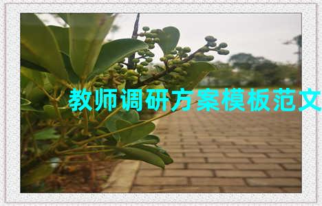 教师调研方案模板范文