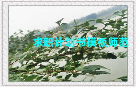 求职计划书模板师范