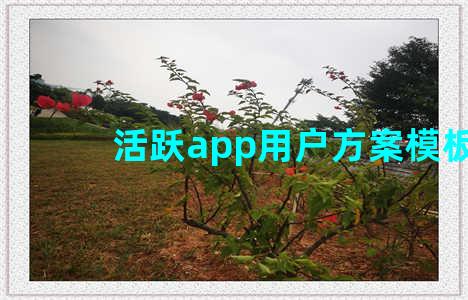 活跃app用户方案模板