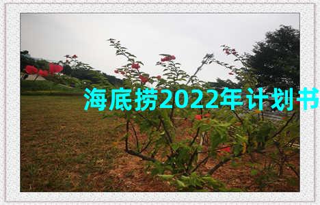 海底捞2022年计划书