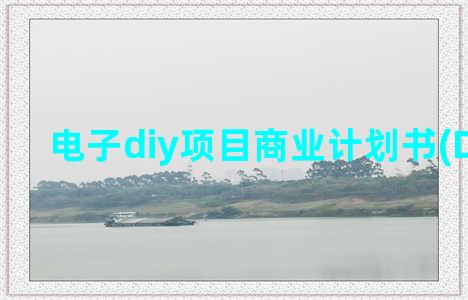 电子diy项目商业计划书(DIY项目)