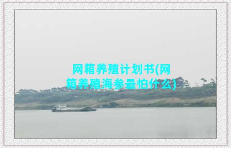 网箱养殖计划书(网箱养殖海参最怕什么)