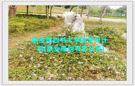 职业规划书大学的学习计划(职业规划书怎么写)