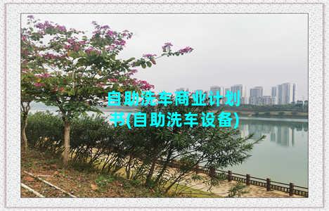 自助洗车商业计划书(自助洗车设备)