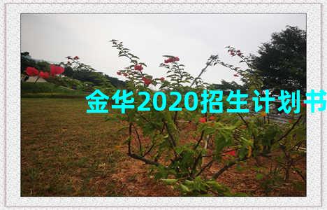 金华2020招生计划书